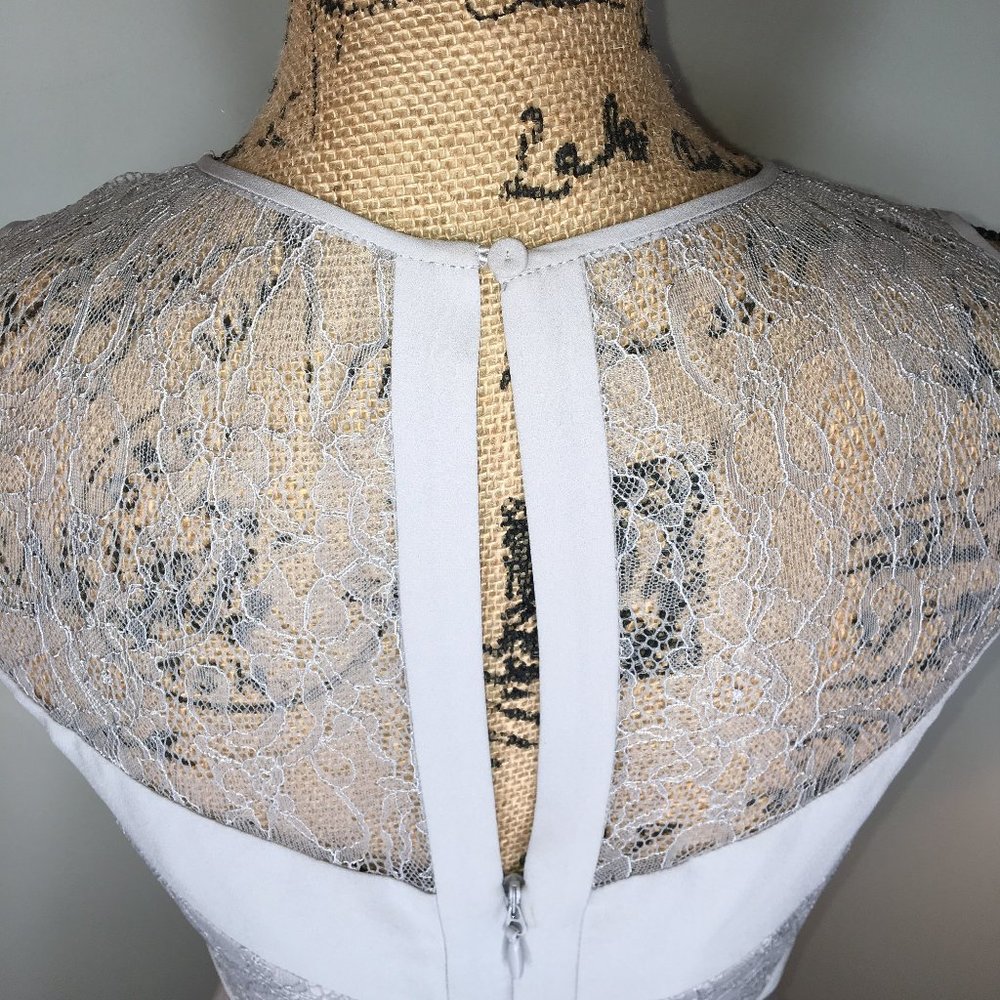 BCBG MAXAZRIA Raya Sleeveless Pleated Lace Dress - Picture 11 of 16